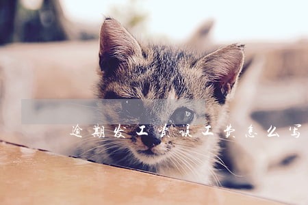 逾期发工资误工费怎么写证明 逾期发工资误工费怎么写证明