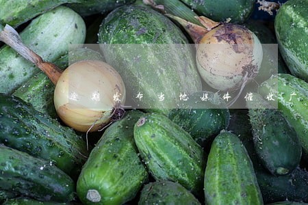 逾期发布当地媒体催收广告