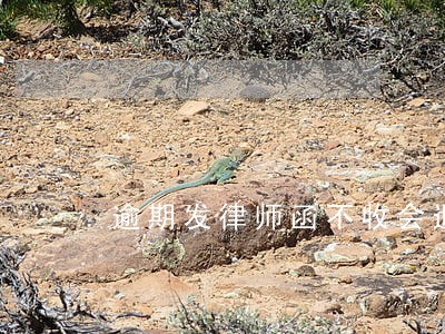 逾期发律师函不收会退回吗 逾期发律师函不收会退回吗