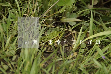 逾期发来案件受理通知