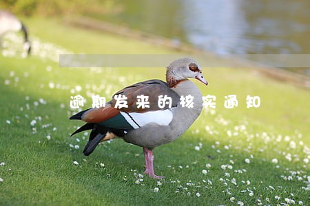 逾期发来的核实通知