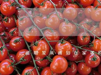 逾期发来通知在家等待传唤 逾期发来通知在家等待传唤