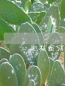 逾期发消息给朋友