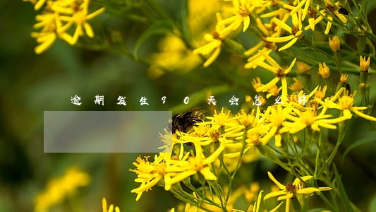 逾期发生90天会怎么样 逾期发生90天会怎么样