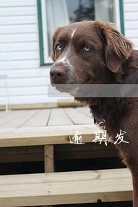 逾期发生后企业征信怎么修复 逾期发生后企业征信怎么修复