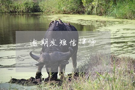 逾期发短信律师