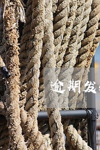 逾期发短信文书派送是真的吗
