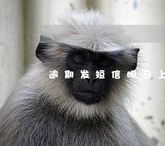 逾期发短信明日上门 逾期发短信明日上门
