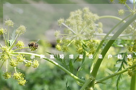 逾期发短信来说来户籍地 逾期发短信来说来户籍地