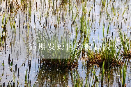 逾期发短信给配偶说说