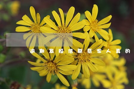 逾期发短信联系家人真的假的