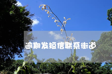 逾期发短信联系街道