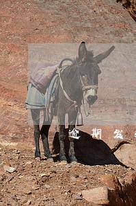 逾期发短信说上门调查 逾期发短信说上门调查