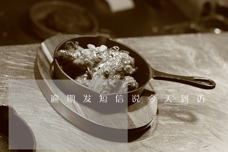 逾期发短信说今天到访