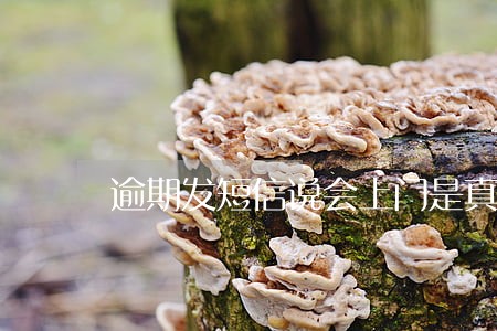 逾期发短信说会上门是真的吗 逾期发短信说会上门是真的吗