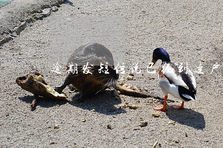 逾期发短信说已经到达户籍地 逾期发短信说已经到达户籍地