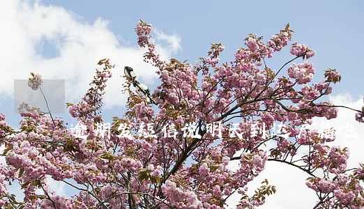 逾期发短信说明天到达户籍地 逾期发短信说明天到达户籍地