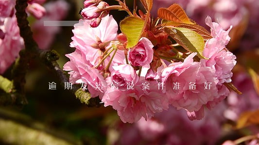 逾期发短信说案件准备好 逾期发短信说案件准备好