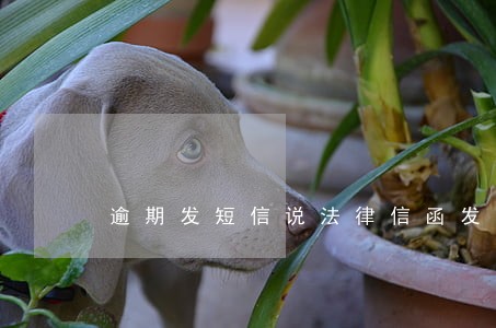 逾期发短信说法律信函发到户籍地 逾期发短信说法律信函发到户籍地