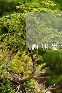 逾期发短信说爆通讯 逾期发短信说爆通讯