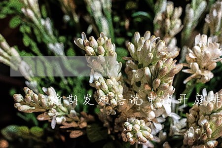 逾期发短信说申请开庭排期 逾期发短信说申请开庭排期
