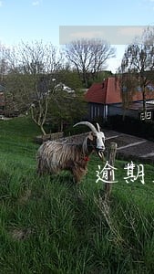 逾期发短信说立案是真的假的 逾期发短信说立案是真的假的