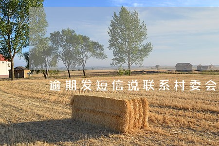 逾期发短信说联系村委会 逾期发短信说联系村委会