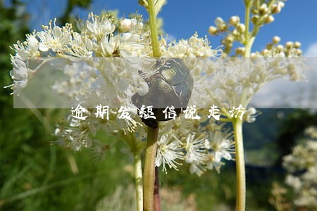 逾期发短信说走访 逾期发短信说走访