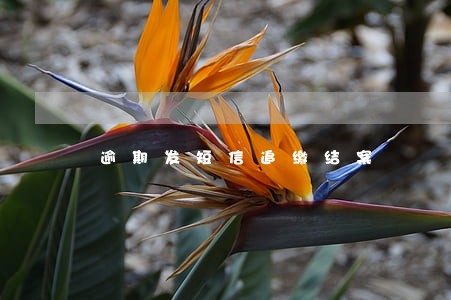 逾期发短信追缴结案 逾期发短信追缴结案