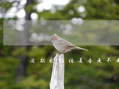 逾期发短信通告是不是真的 逾期发短信通告是不是真的