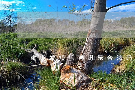 逾期发短信通讯录合法吗 逾期发短信通讯录合法吗
