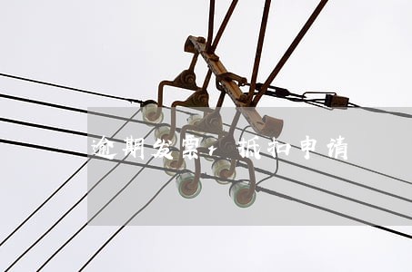逾期发票r抵扣申请 逾期发票r抵扣申请