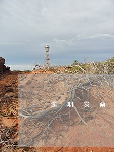 逾期发票可以在网上勾选认证吗 逾期发票可以在网上勾选认证吗
