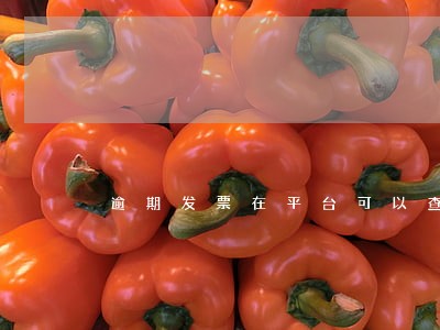 逾期发票在平台可以查询 逾期发票在平台可以查询