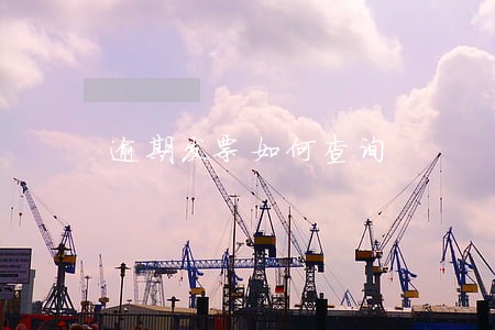 逾期发票如何查询 逾期发票如何查询