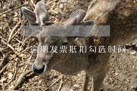 逾期发票抵扣勾选时间 逾期发票抵扣勾选时间