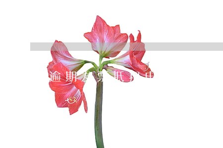 逾期发票抵扣申报表 逾期发票抵扣申报表