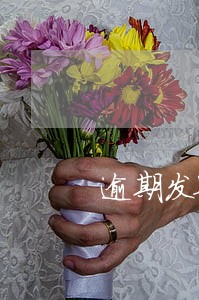 逾期发票提醒怎么查询 逾期发票提醒怎么查询