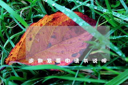 逾期发票申请书说明 逾期发票申请书说明