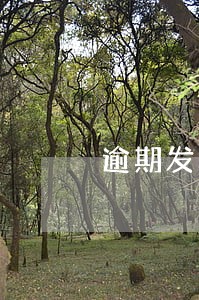 逾期发票申请抵扣目的 逾期发票申请抵扣目的