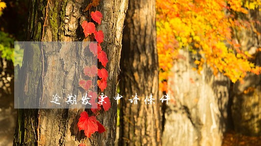 逾期发票申请条件 逾期发票申请条件