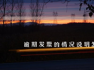 逾期发票的情况说明怎么写