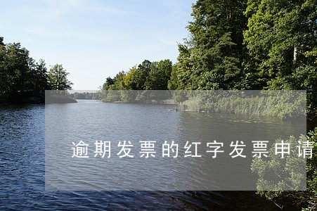 逾期发票的红字发票申请单 逾期发票的红字发票申请单