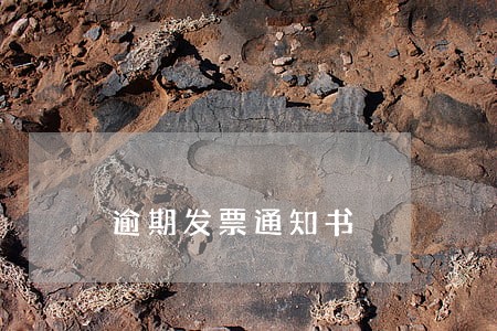 逾期发票通知书 逾期发票通知书