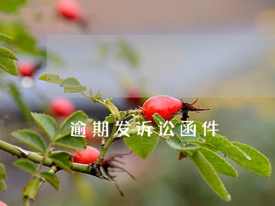逾期发诉讼函件 逾期发诉讼函件