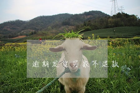 逾期发货买家不退款 逾期发货买家不退款