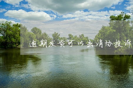 逾期发货可以去消协投诉