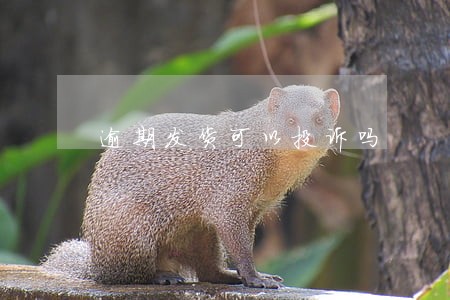 逾期发货可以投诉吗 逾期发货可以投诉吗