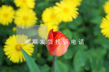逾期发货投诉电话 逾期发货投诉电话