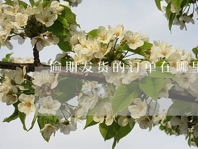 逾期发货的订单在哪里查询 逾期发货的订单在哪里查询